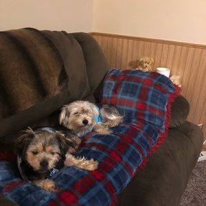 Meet your Posher, Julie